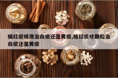 <b>�ٺ�̵��Һ�ΰ�̵���ǻ�̵,�ٺ�̵�ȿ����ΰ�̵���ǻ�̵</b>