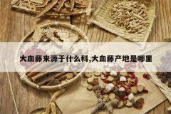 <b>��Ѫ����Դ��ʲô��,��Ѫ�ٲ���������</b>