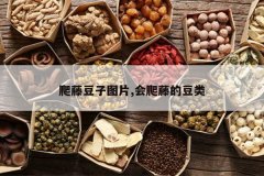 <b>���ٶ���ͼƬ,�����ٵĶ���</b>