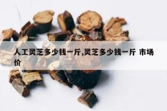 <b>�˹���֥����Ǯһ��,��֥����Ǯһ�� �г���</b>