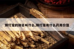 <b>�������ı�����ʲô,��������ʲôҩ�ü�ֵ</b>