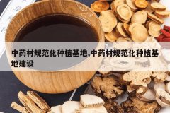 <b>��ҩ�Ĺ淶����ֲ����,��ҩ�Ĺ淶����ֲ���ؽ���</b>