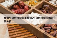 <b>��ֲ��ҩ����ҵǰ������,��ҩ����ҵ�г�ǰ������</b>