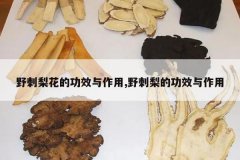 <b>Ұ���滨�Ĺ�Ч������,Ұ����Ĺ�Ч������</b>