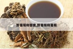 <b>Ұ���Ѻ�Ӥ��,Ұ���Ѻ�����</b>