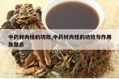 <b>��ҩ�����Ĺ�Ч,��ҩ�����Ĺ�Ч�����ü�����</b>