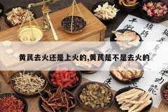 <b>����ȥ�����ϻ��,�����ǲ���ȥ���</b>