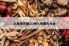 <b>�˲�ͼƬͼ,12���˲�ͼƬ��ȫ</b>