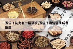 <b>�屶��ϴ����һ��ӲƤ,�屶����ϴ�����ɽ��ʲ�</b>