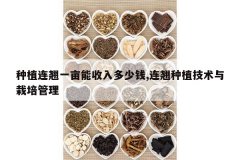 <b>��ֲ����һĶ���������Ǯ,������ֲ�������������</b>