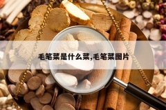 <b>ë�ʲ���ʲô��,ë�ʲ�ͼƬ</b>