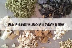 <b>���Ļ����Ķ���,���Ļ����Ķ�������Щ</b>