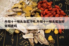 <b>����ʮһζ���γ�����,����ʮһζ�����κ���������</b>