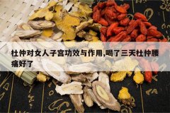 <b>���ٶ�Ů���ӹ���Ч������,�������������ʹ����</b>