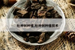 <b>��������ֲ,��������ֲ����</b>