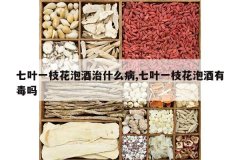 <b>��Ҷһ֦���ݾ���ʲô��,��Ҷһ֦���ݾ��ж���</b>