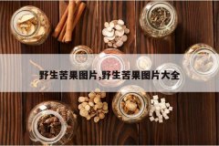 <b>Ұ�����ͼƬ,Ұ�����ͼƬ��ȫ</b>