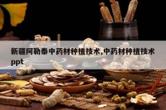 <b>�½�����̩��ҩ����ֲ����,��ҩ����ֲ����ppt</b>