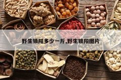 <b>Ұ����������һ��,Ұ������ͼƬ</b>