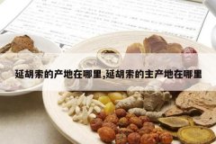 <b>�Ӻ����Ĳ���������,�Ӻ�����������������</b>