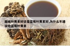 <b>Խ��Ҷ���غû�����ݮҶ���غ�,Ϊʲô���������ݮҶ����</b>