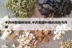 <b>��ҩ�ļ�������Ч,��ҩ����Ҷ���Ĺ�Ч������</b>