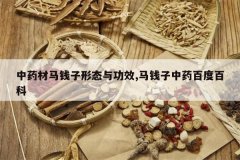 <b>��ҩ����Ǯ����̬�빦Ч,��Ǯ����ҩ�ٶȰٿ�</b>