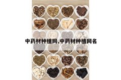 <b>��ҩ����ֲ��,��ҩ����ֲ����</b>