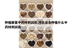 <b>��ֲ������ҩ�������,�ӱ��ʺ���ֲʲô��ҩ�������</b>