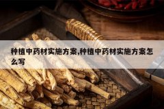 <b>��ֲ��ҩ��ʵʩ����,��ֲ��ҩ��ʵʩ������ôд</b>