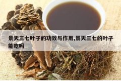 <b>��������Ҷ�ӵĹ�Ч������,�������ߵ�Ҷ���ܳ���</b>