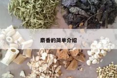 <b>����ļ򵥽���</b>