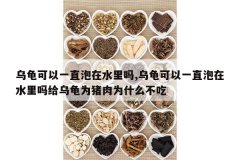 <b>�ڹ����һֱ����ˮ����,�ڹ����һֱ����ˮ������ڹ�Ϊ����Ϊ</b>