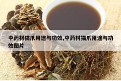 <b>ҩèצ;빦Ч,ҩèצ;빦ЧͼƬ</b>