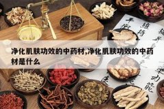 <b>����������Ч����ҩ��,����������Ч����ҩ����ʲô</b>