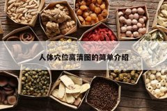 <b>����Ѩλ����ͼ�ļ򵥽���</b>