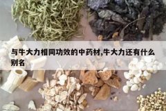 <b>��ţ������ͬ��Ч����ҩ��,ţ��������ʲô����</b>