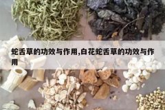 <b>����ݵĹ�Ч������,�׻�����ݵĹ�Ч������</b>