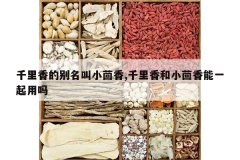 <b>ǧ����ı�����С����,ǧ�����С������һ������</b>