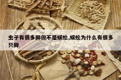 <b>�����кܶ�ŵ��������,���Ϊʲô�кܶ�ֻ��</b>