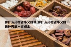 <b>��ʲôҩ��ʡ����׬Ǯ,��ʲôҩ��ʡ����׬Ǯ������һĶ�ɱ�</b>