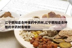 <b>���������ʺ���ֲ����ҩ��,���������ʺ���ֲ����ҩ������Щ</b>