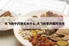 <b>�������ҩ������ʲô,������ҩͼƬ��Ч</b>