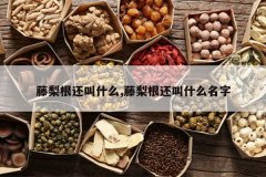 <b>���������ʲô,���������ʲô����</b>