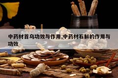 <b>��ҩ�����ڹ�Ч������,��ҩ��ʯ���������빦Ч</b>