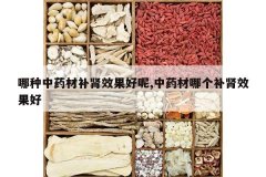 <b>������ҩ�Ĳ���Ч������,��ҩ���ĸ�����Ч����</b>