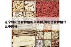 <b>���������ʺ���ֲ����ҩ��,�ӱ��ʺ���ֲʲô��ҩ��</b>