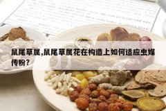 <b>��β����,��β�������ڹ����������Ӧ��ý����?</b>