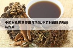 <b>��ҩ�����Ȳ������빦Ч,��ҩ����µĹ�Ч������</b>