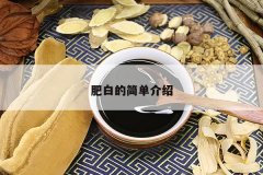 <b>�ʰ׵ļ򵥽���</b>